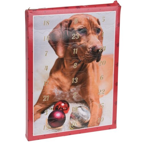 Adventný kalendár pre psov 20 x 27