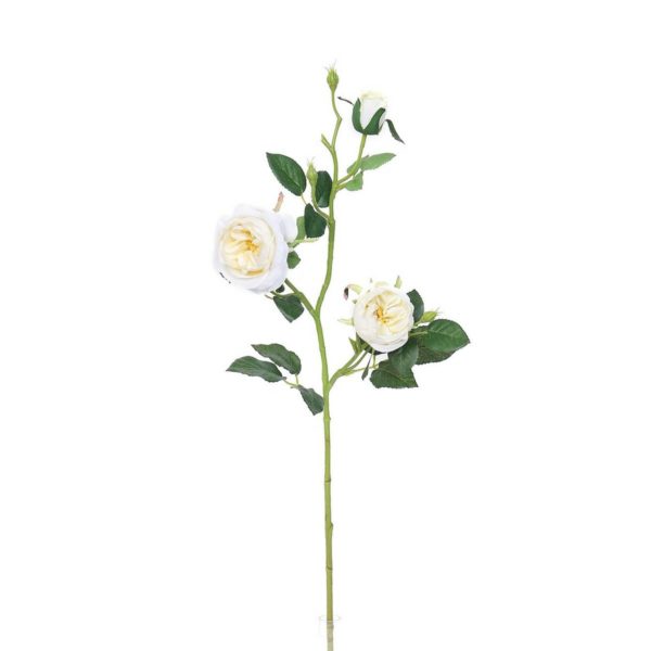 Umelá anglická ruža biela