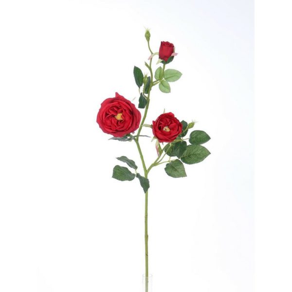 Umelá anglická ruža červená
