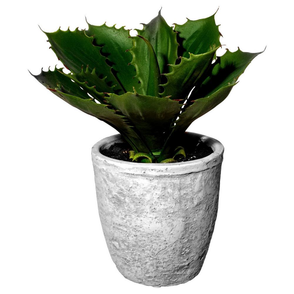 Umelá Rastlina Echeveria