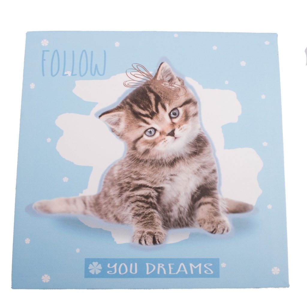 Obraz na plátne Kittie