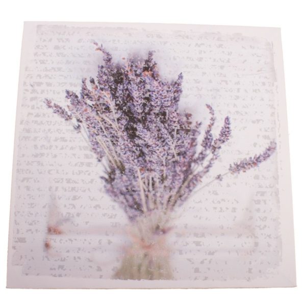 Obraz na plátne La la lavender