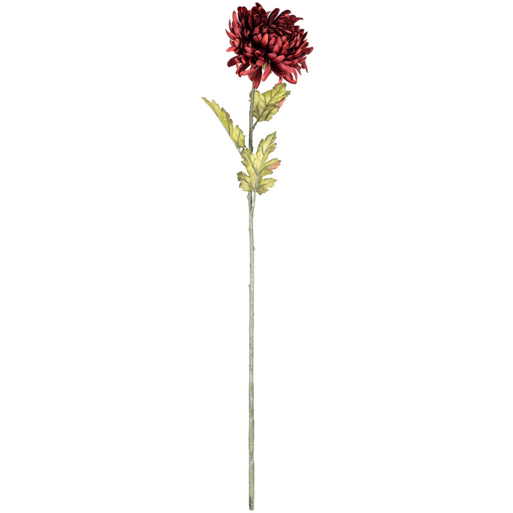 v. 74 cm