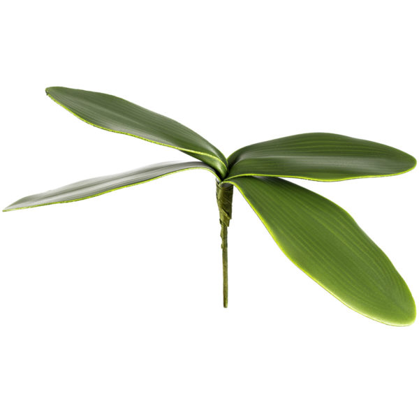 Umelý List orchidey