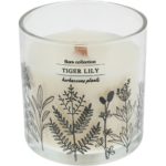 Vonná sviečka Flora Collection