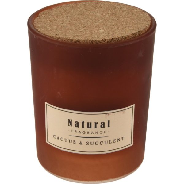 Vonná sviečka v skle Cactus and Pine