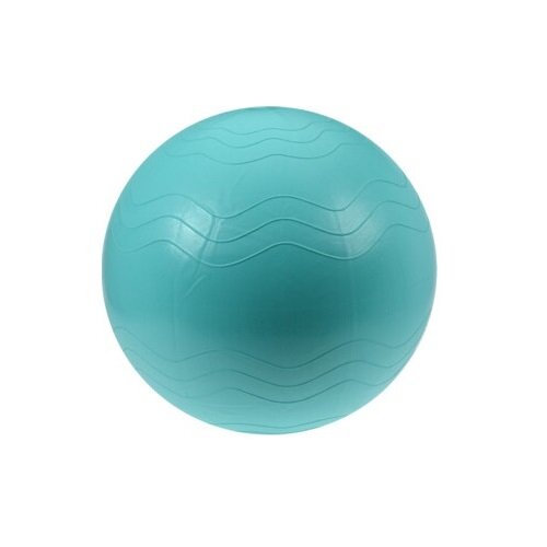 XQ Max Pomôcka na cvičenie Yoga Ball pr. 65 cm