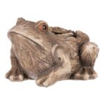 Obal na kvetiny Žaba