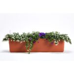 terakota + sl. kosť