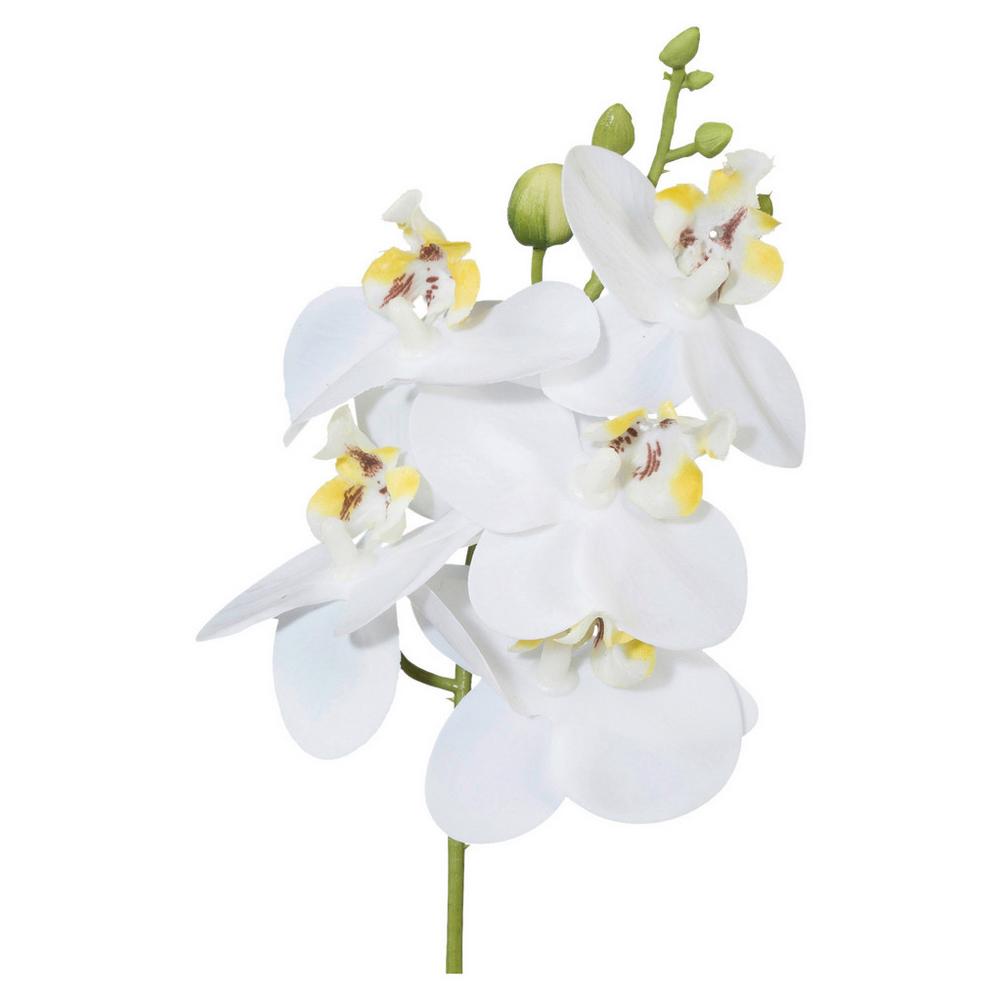 Umelá rastlina Phalaenopsis